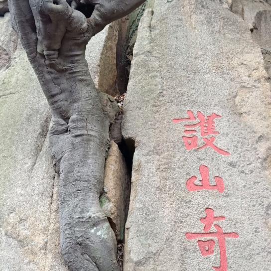无声的雨