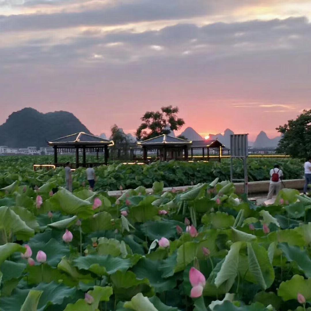 柳州市锦运蔬菜有限公司