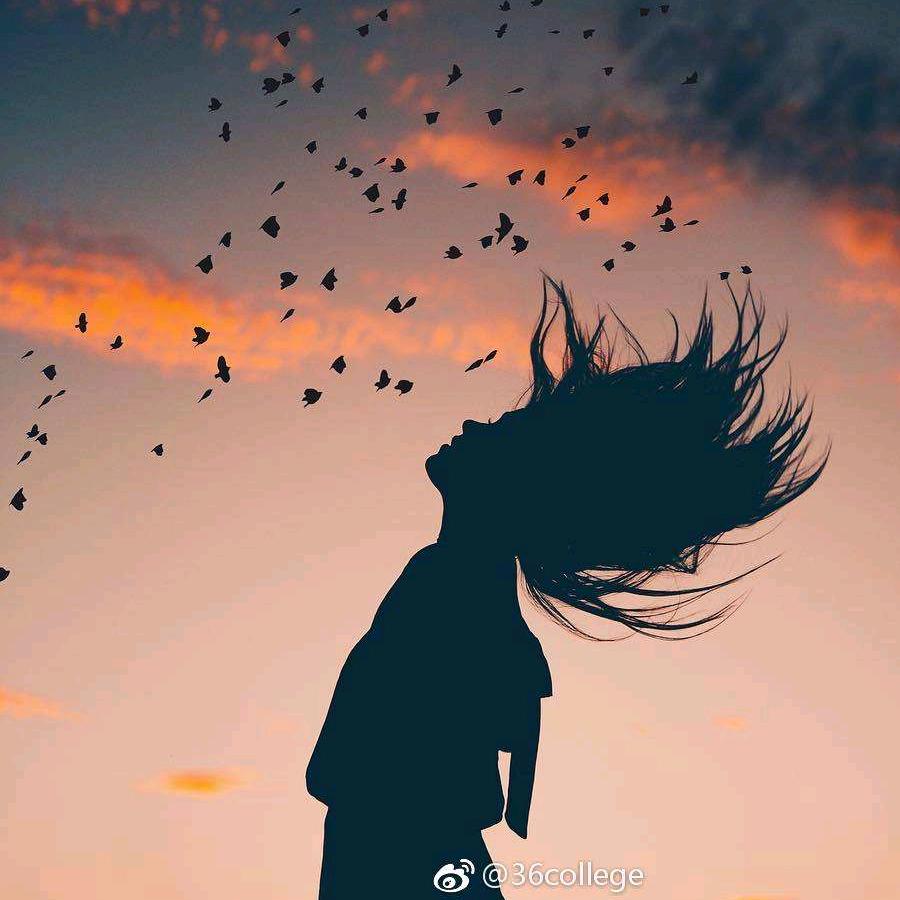 仙人掌