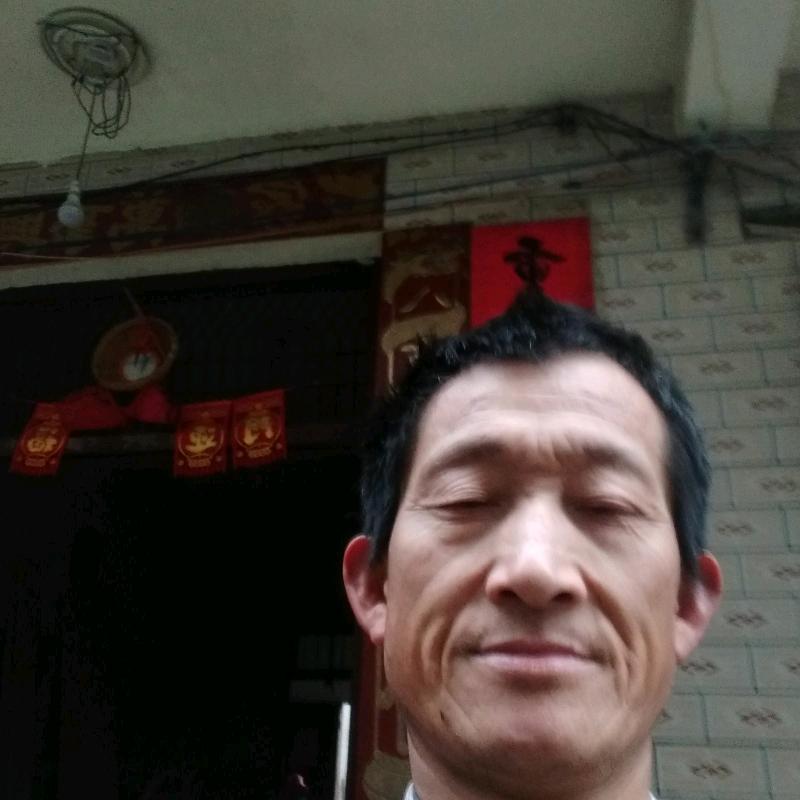 甘哥