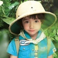 软件哥、