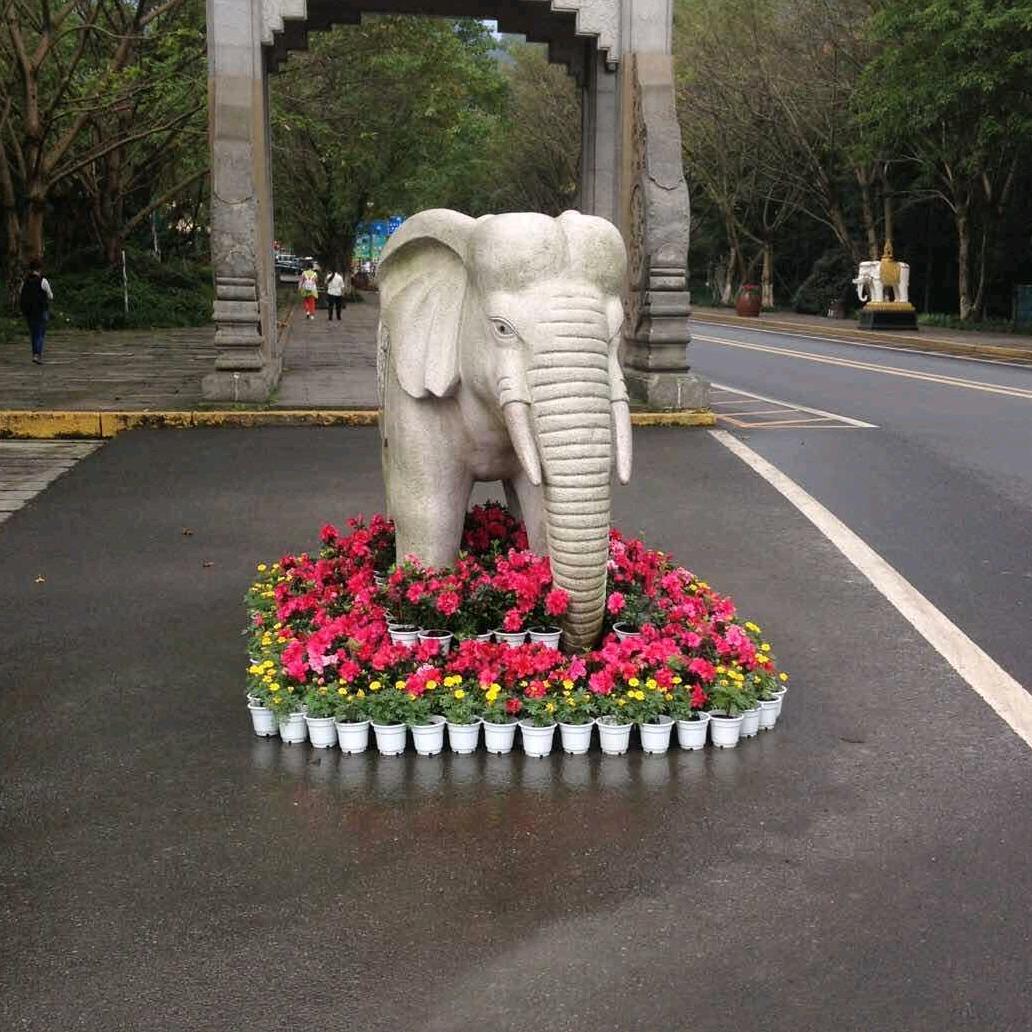 高原雄鹰