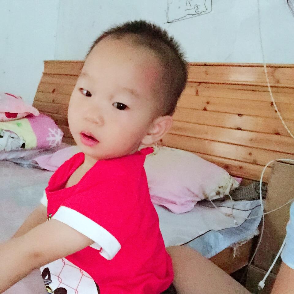 贝贝3