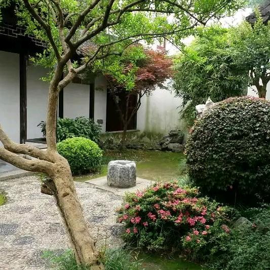 中华情