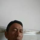 杨