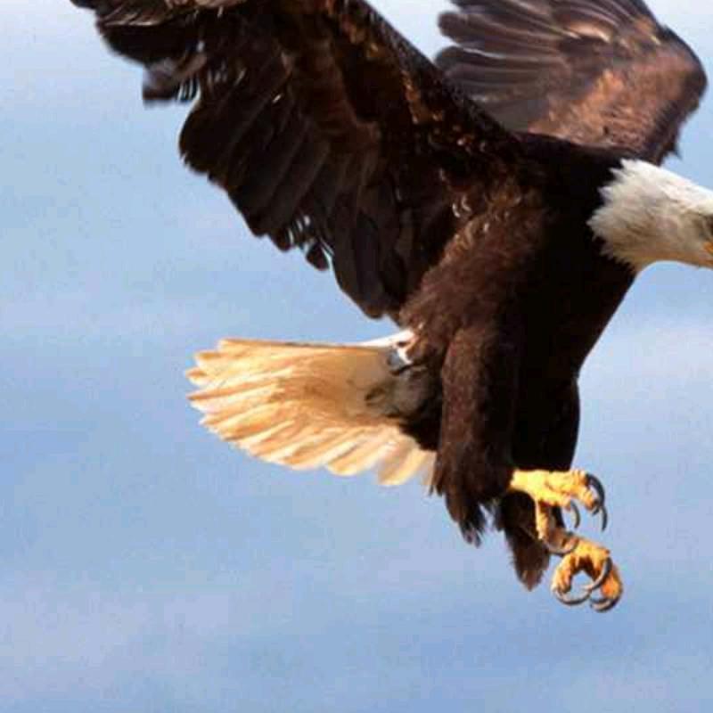 龙邦装饰🇨🇳张士飞（高原）