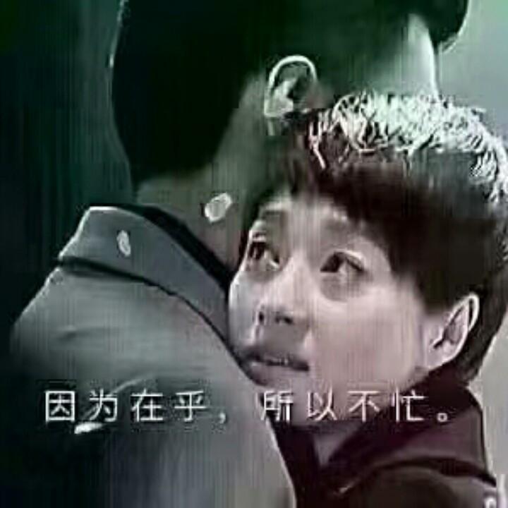 🌻🌻向日葵