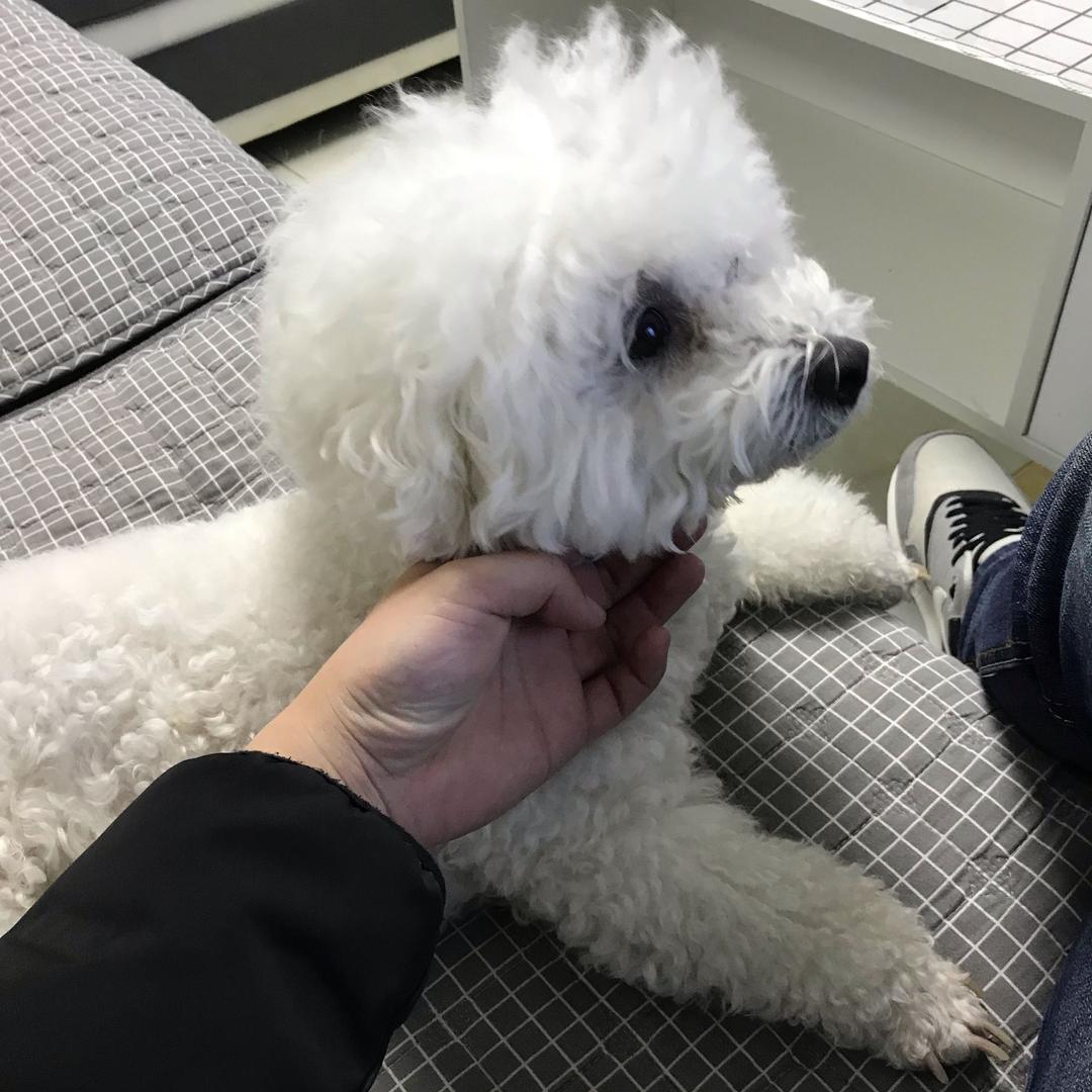 致过往，敬明天