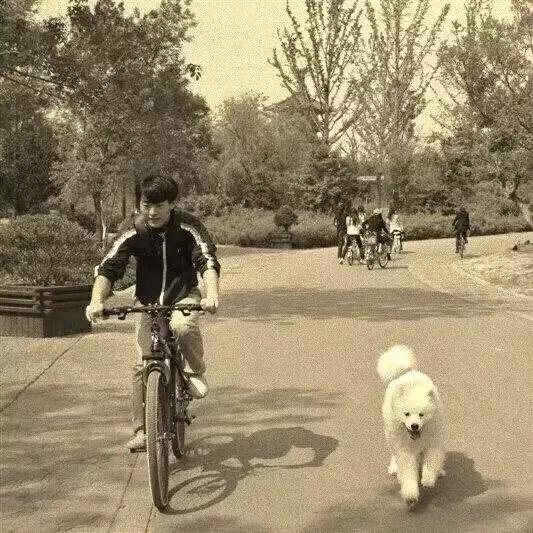 五月不负好时光