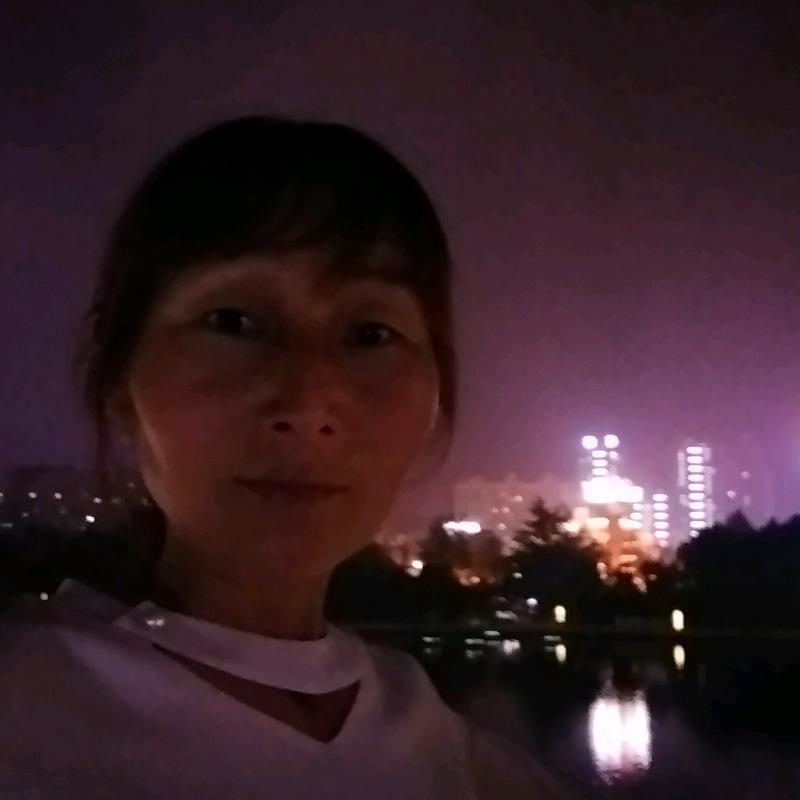 苦叶碟