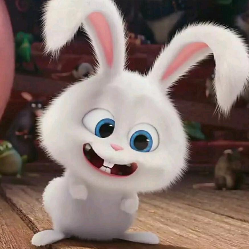 在人间贩卖日落