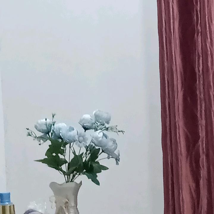 蝶恋花