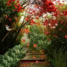 我的快乐就是想你