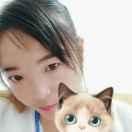 相伴有你拒绝连赞