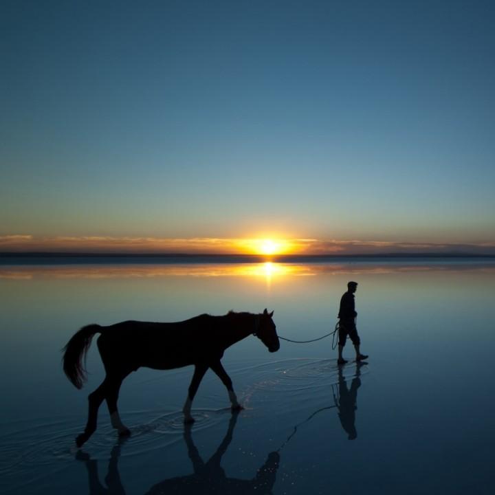 不会说话的老帮菜