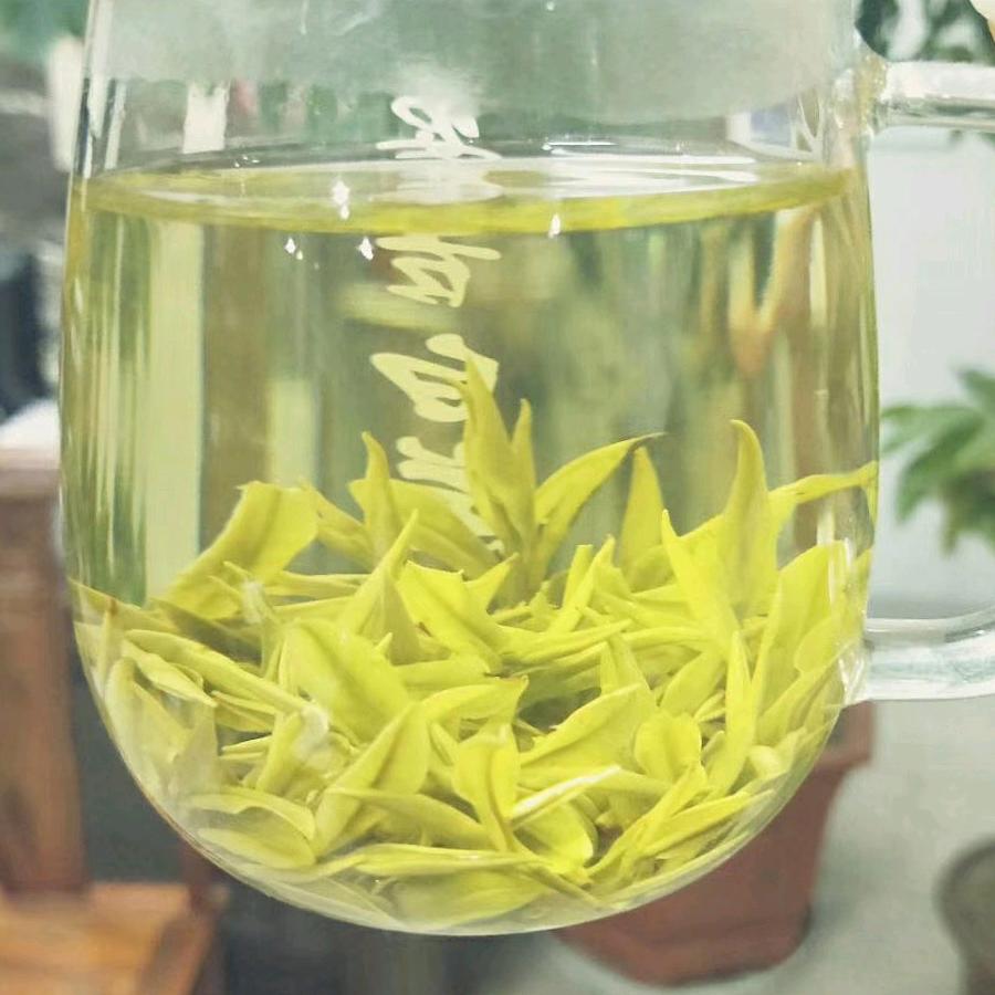 安吉递铺文杰茶场