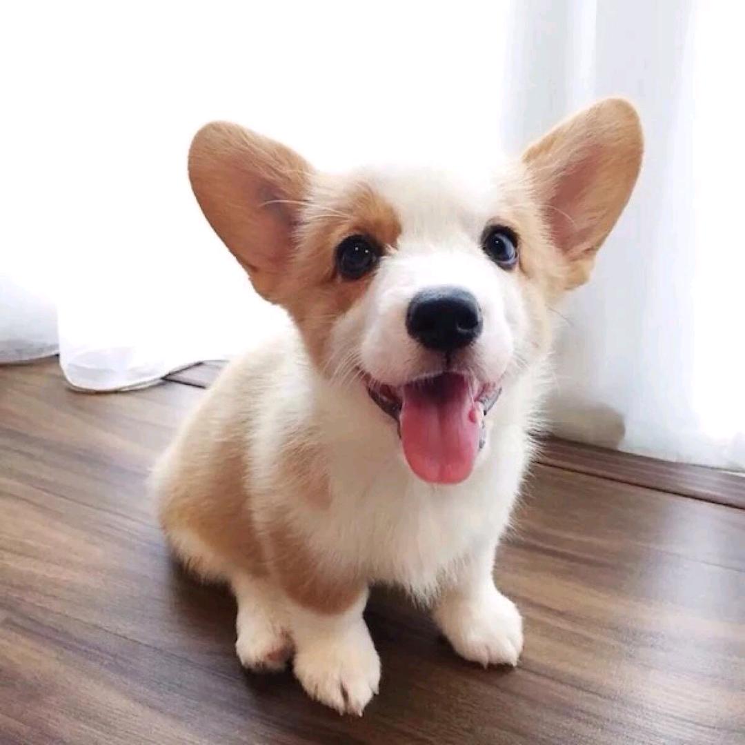果然✨