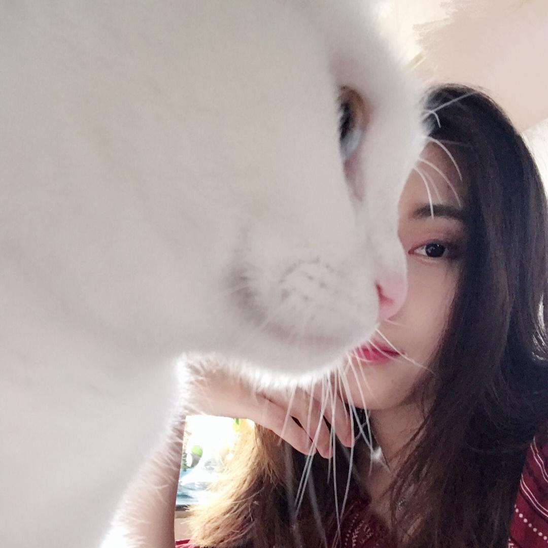 a..王道道💤