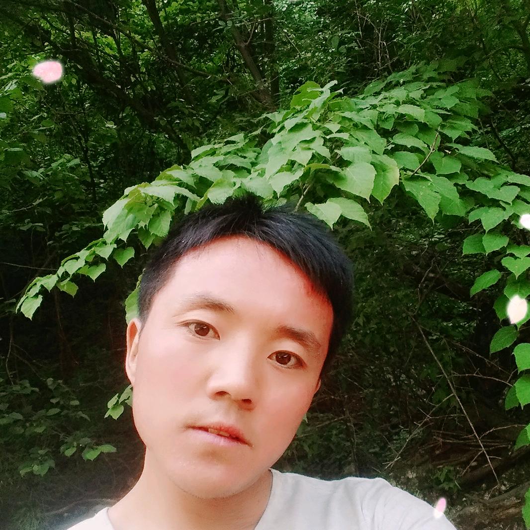 未来的梦
