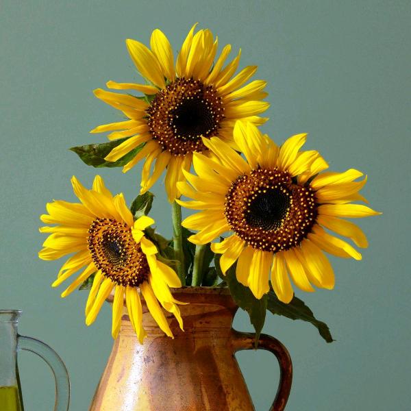 AAAAA恩典推拉门