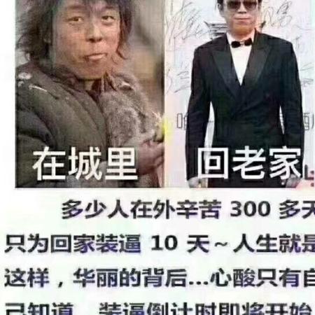 我不努力 谁养你