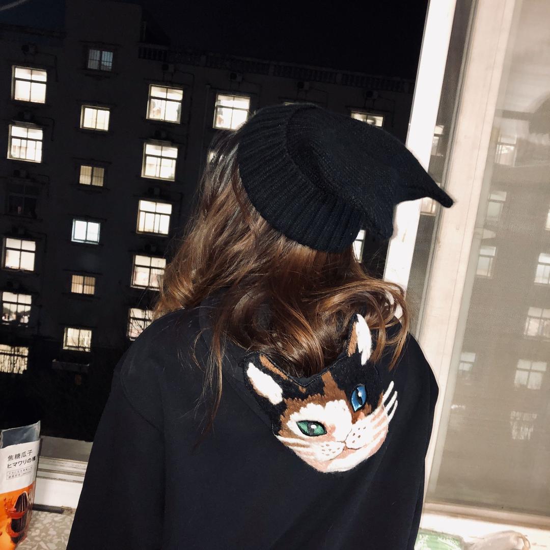 一只叫妞妞的公猫