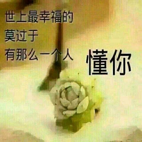 勿忘我心❤️