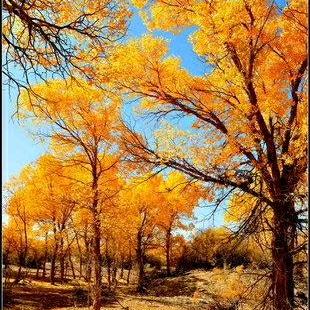 海纳百川3690173613763