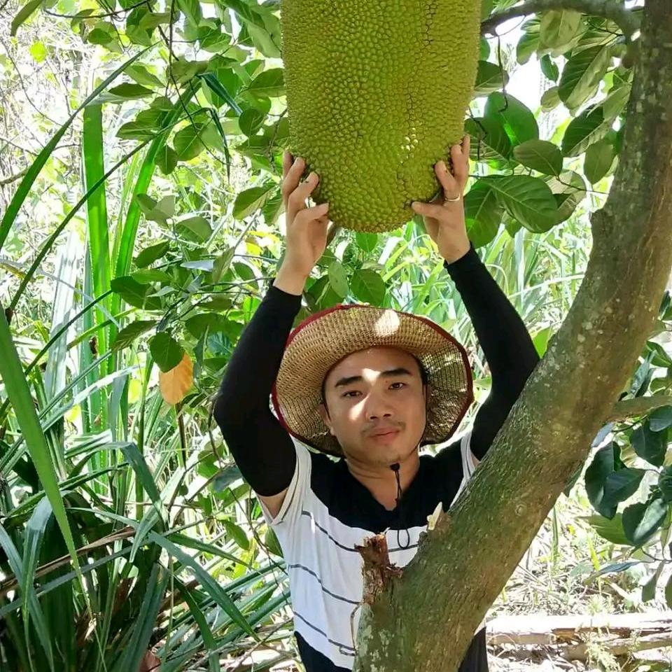 鑫宝鲜果