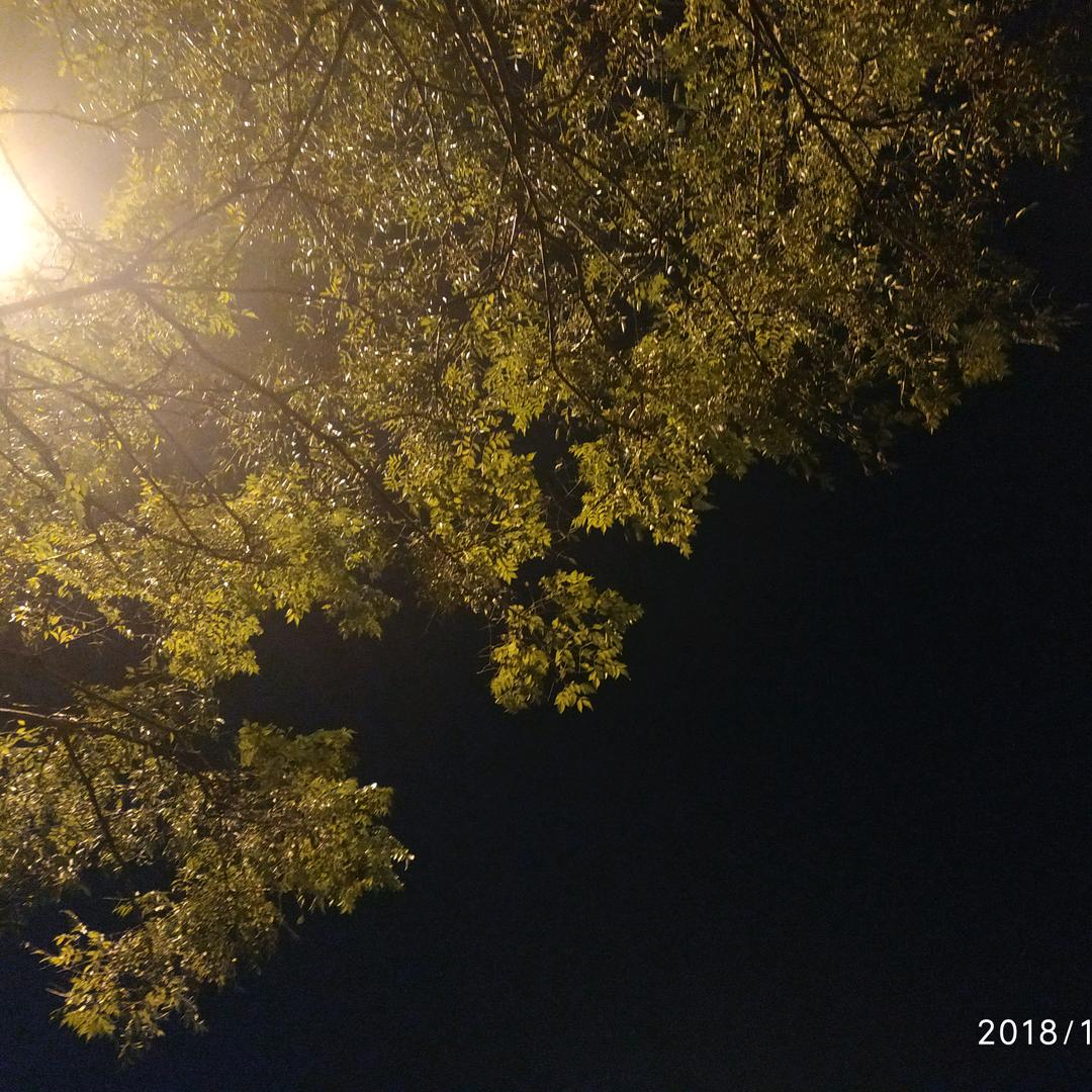 十年