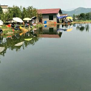 慈化马鞍峡谷特种鱼垂钓基地