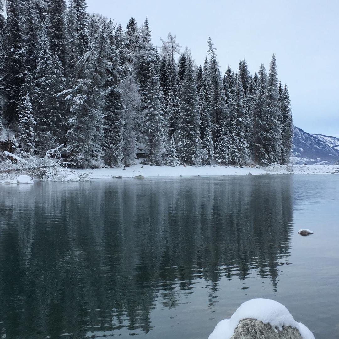 汤圆爸爸爱美食