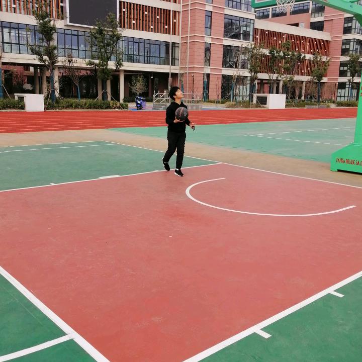 Tao虎
