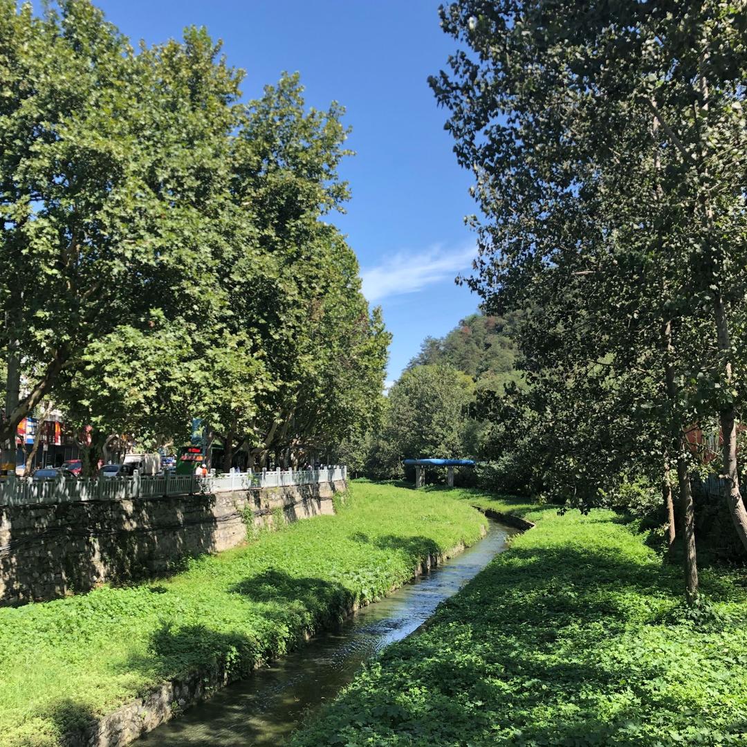 皓钧🐮🐮
