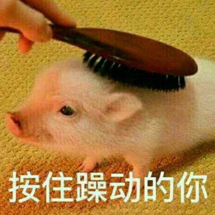按住躁动的你