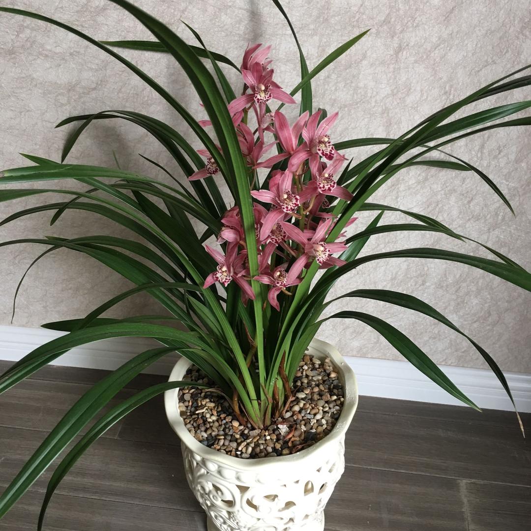 阳光总在风雨后🌈