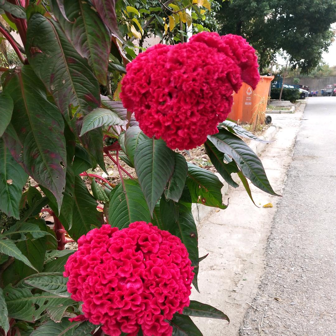 ^O^亿心★向钱￥