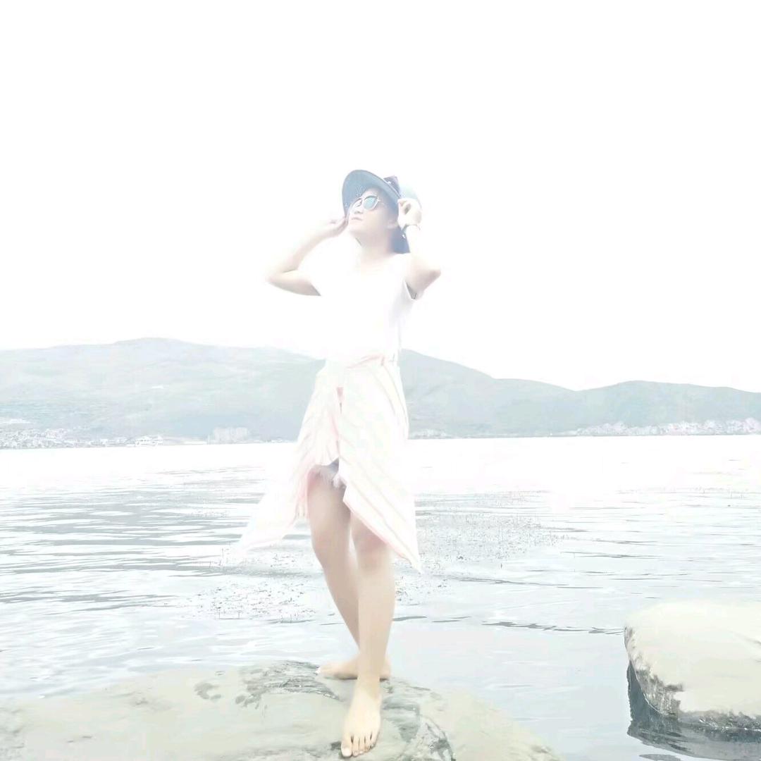 陆姑娘