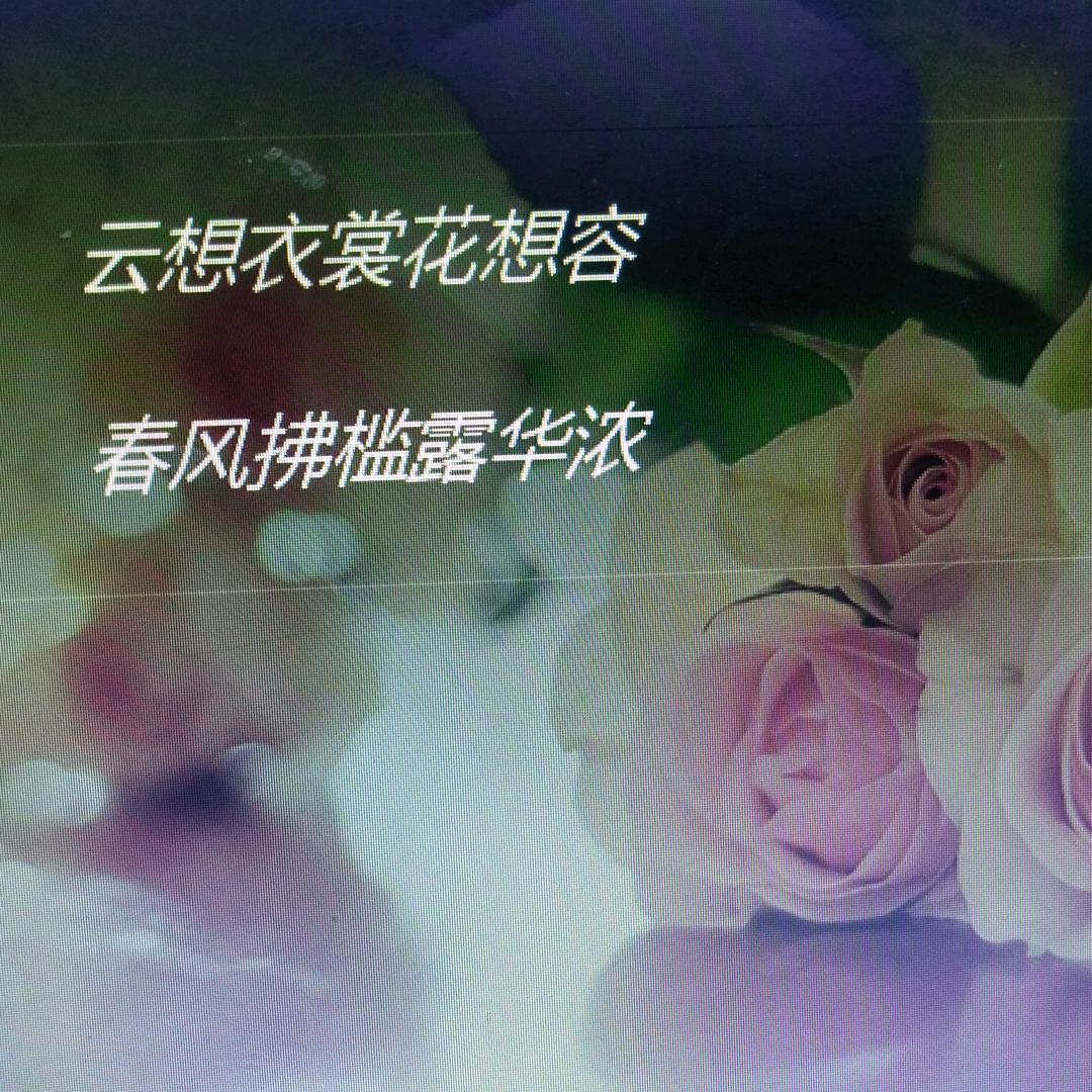…九妹