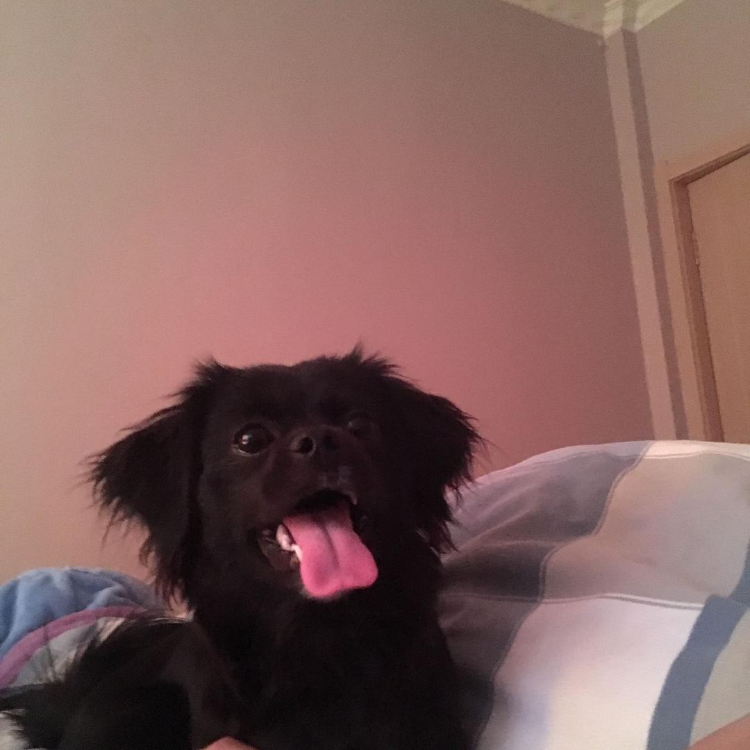 好嗨哦