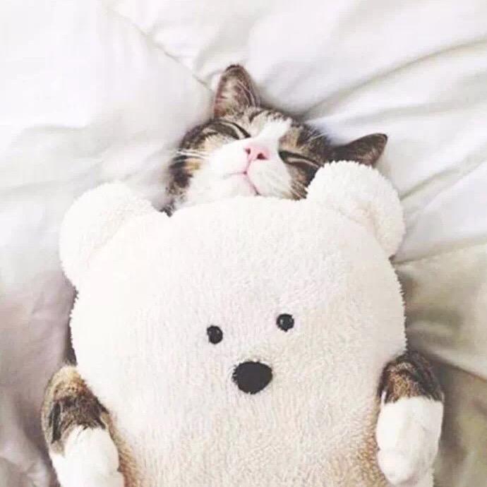 丢丢💋