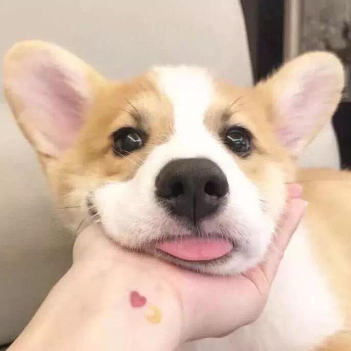 有心人