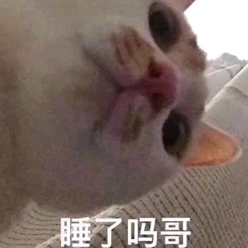 叮叮.
