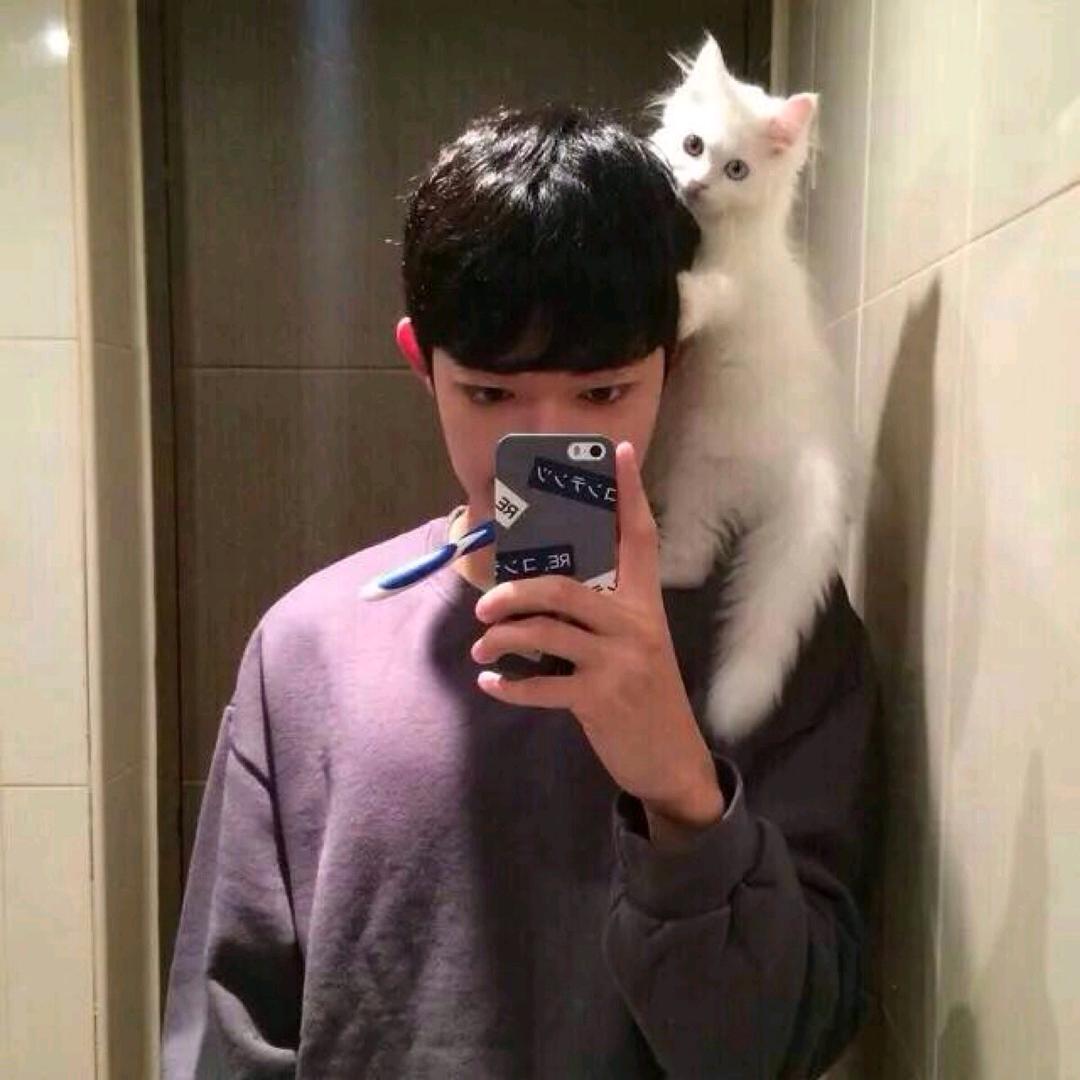 🌈猫在怀里打盹