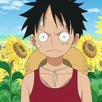 小学生喜欢玩网游