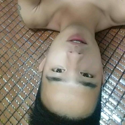 羊萌新
