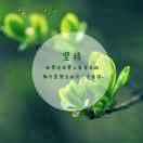 江涛