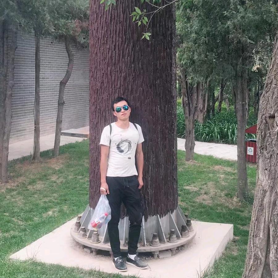 刘磊
