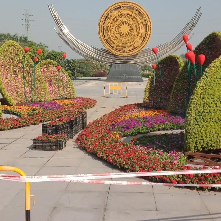 云南六哥