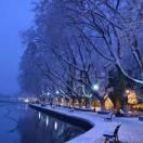 一身傲骨怎能服输